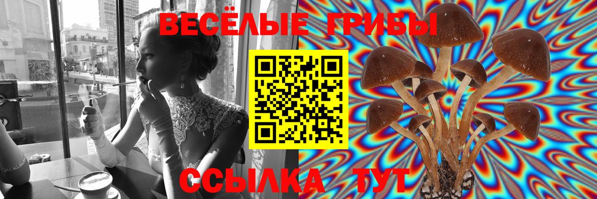 Псилоцибиновые грибы мухоморы Камышин